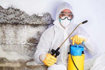 Home Mold Inspection