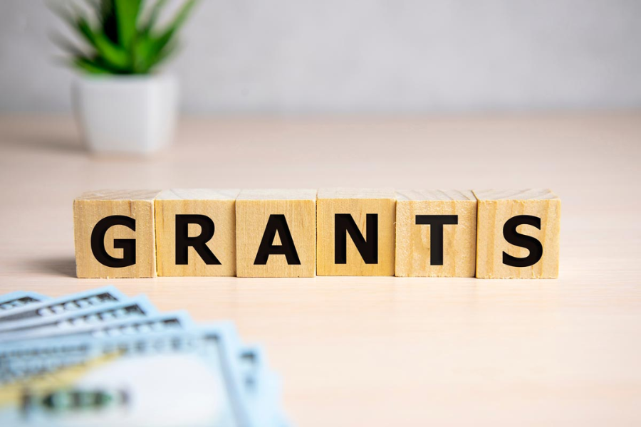 Social Grants