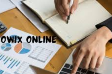 Understanding Sowix Online in the Pakistani Market