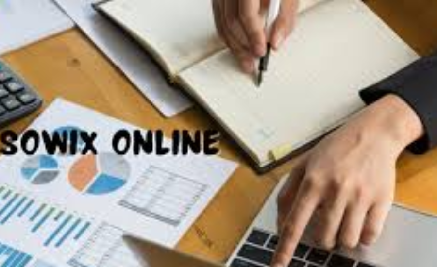 Understanding Sowix Online in the Pakistani Market