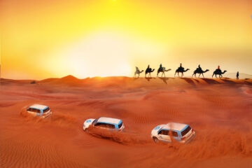 Discover the Magic of Desert Safari: A New Journey of Excitement in the Morning in Dubai