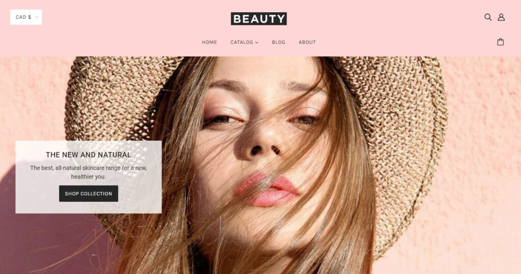 best shopify themes