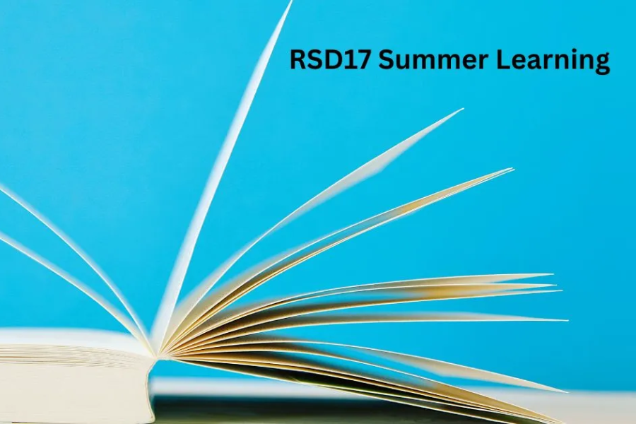 rsd17 summer learning