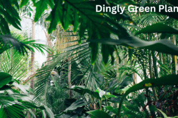 dinglygreen