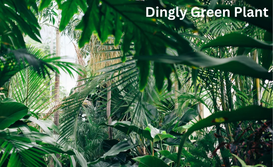 dinglygreen