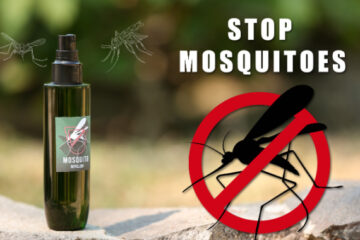 Best Thing To Stop Mosquitoes